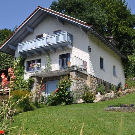 Ferienwohnung Regentalblick Miltach ภายนอก รูปภาพ
