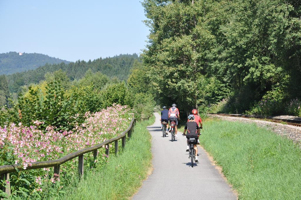 Ferienwohnung Regentalblick Miltach ภายนอก รูปภาพ