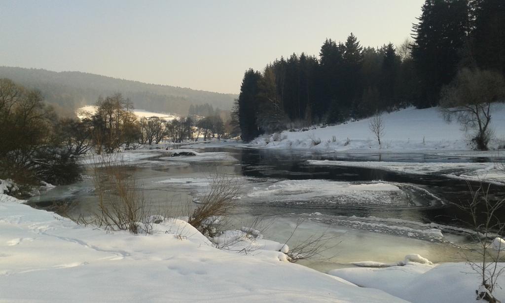 Ferienwohnung Regentalblick Miltach ภายนอก รูปภาพ