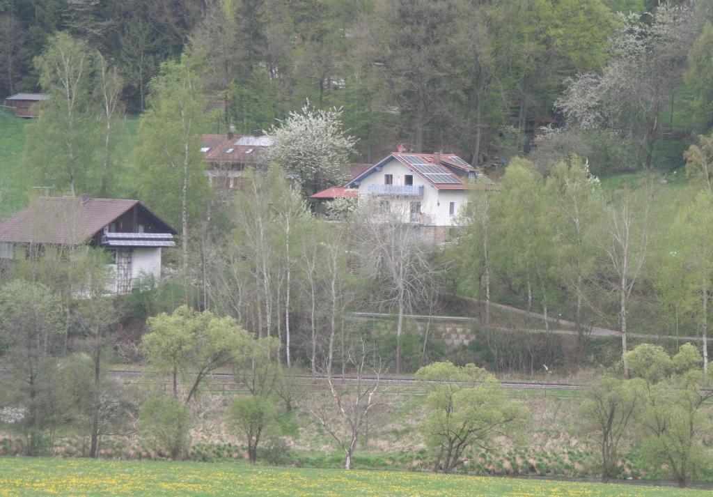 Ferienwohnung Regentalblick Miltach ภายนอก รูปภาพ